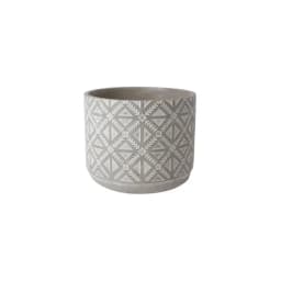 Assortment Concrete Planter