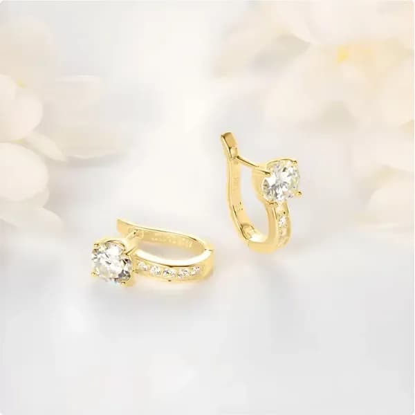 U-shaped Earrings